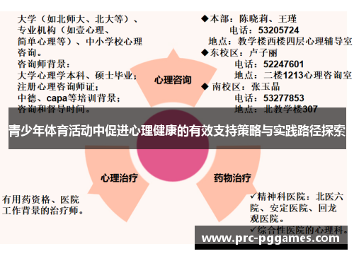 青少年体育活动中促进心理健康的有效支持策略与实践路径探索