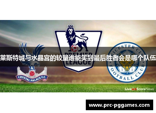 莱斯特城与水晶宫的较量谁能笑到最后胜者会是哪个队伍 莱斯特城与水晶宫的较量谁能笑到最后胜者会是哪个队伍