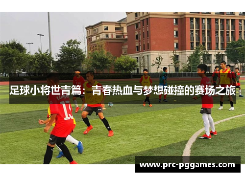 足球小将世青篇:青春热血与梦想碰撞的赛场之旅 足球小将世青篇:青春热血与梦想碰撞的赛场之旅