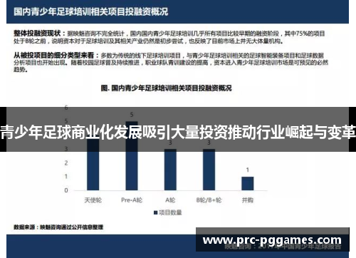 青少年足球商业化发展吸引大量投资推动行业崛起与变革